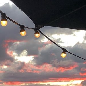 Meet your Posher, Ella